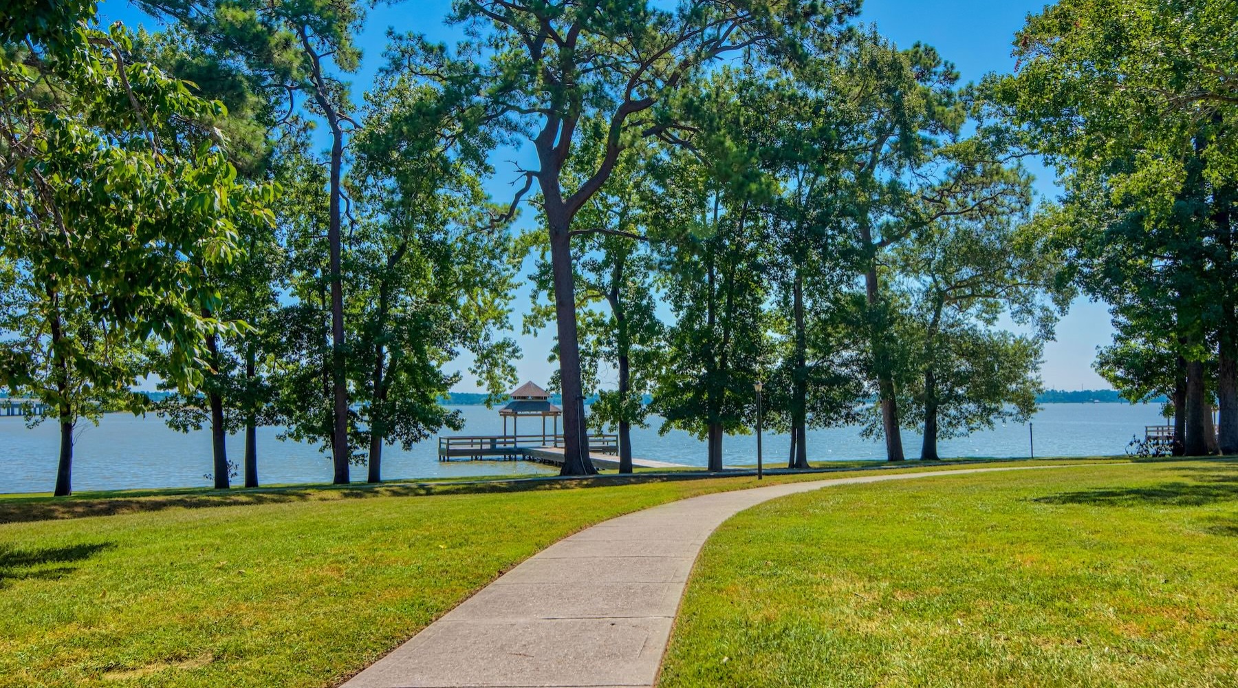 a path with trees by a body of water