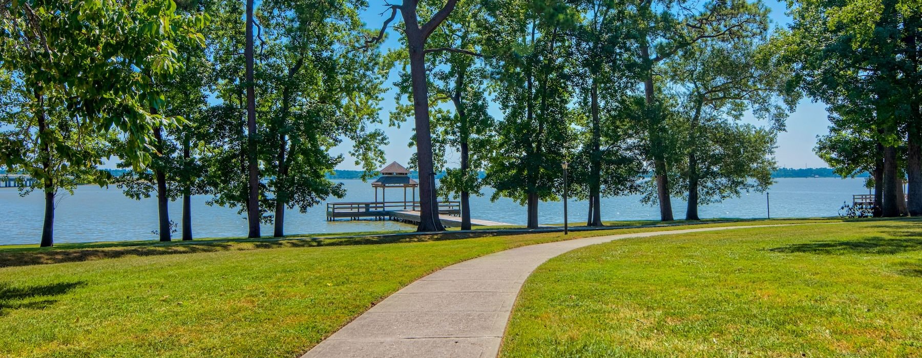 a path with trees by a body of water